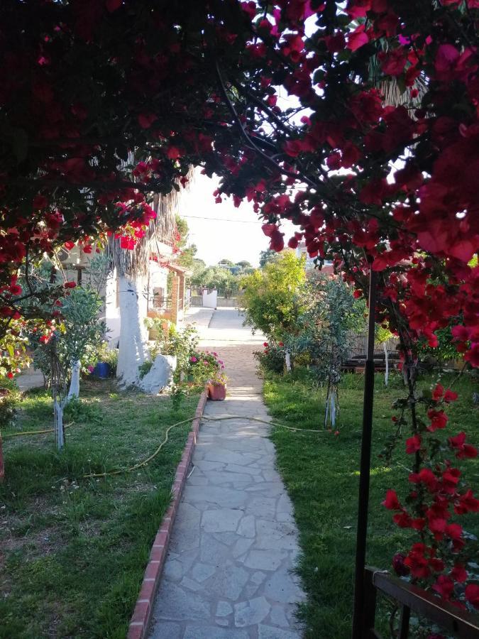 Armonia Studios Agios Georgios  Esterno foto